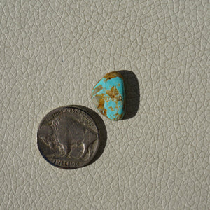 Royston Turquoise - 7 CT