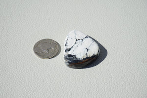 White Buffalo - 75 CT