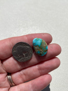 Royston Turquoise - 9 CT