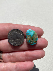 Royston Turquoise - 9 CT